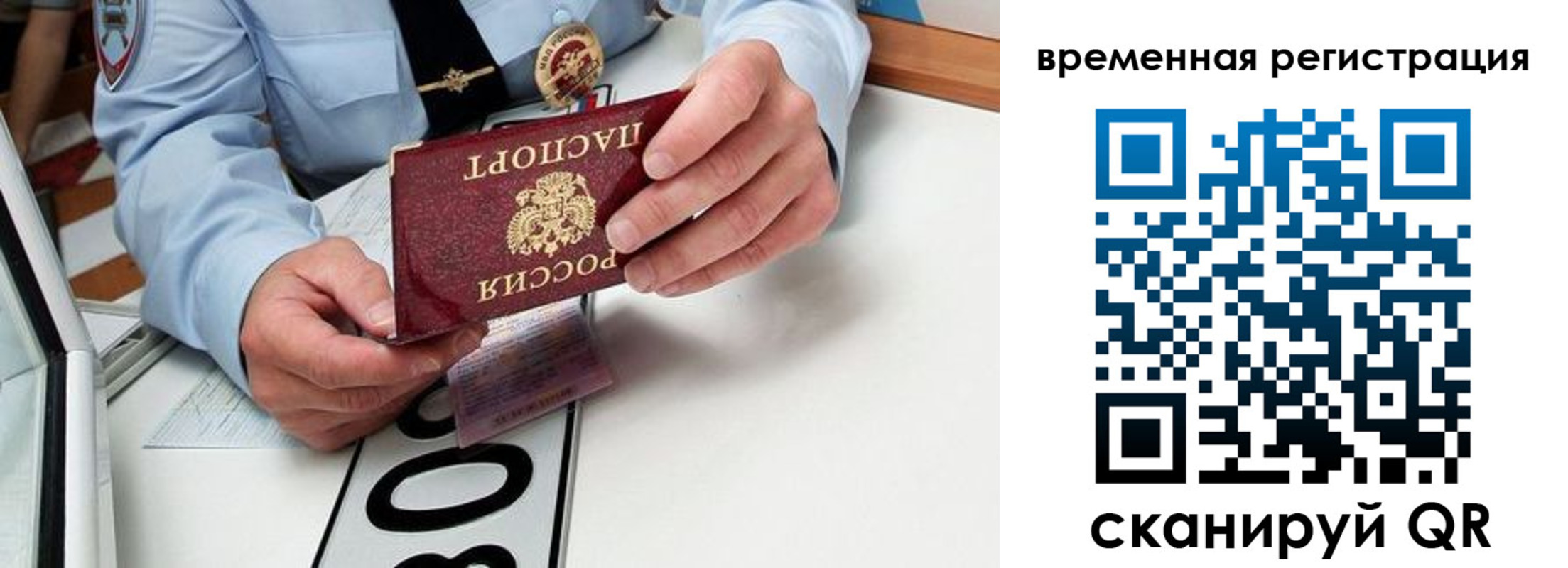 прописка гарантия в Добрянке